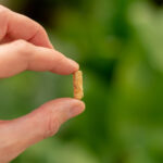 Pellet de madera - Imagen 3